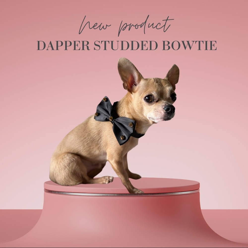 Dapper Satin Stud Bow tie